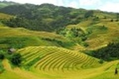 Terraced fields are like a watercolour painting