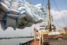 Vietnam exports 3.5 million tonnes of rice in six months