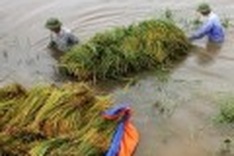 Natural disasters leave 66 dead, missing in six months