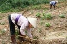 Vietnam records good environmental performance