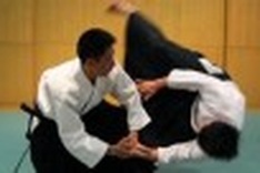 Five countries attend Hanoi International Aikido Festival