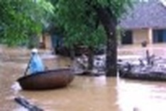 Vietnamese in France support flood victims