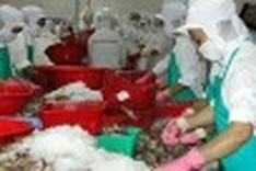 Vietnam expects to earn $5.3 billion from aquatic exports in 2011