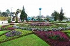 Da Lat Flower Festival to take place