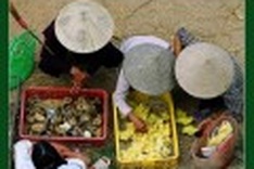 Deep-rooted meaning in Vietnam’s cultural markets