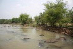 "Tsunami" of second homes to hit Vietnam’s market