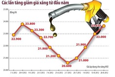 Trade ministry refuses to list fuels as consumer goods