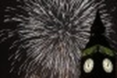 Millions gather worldwide to ring in new year