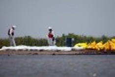 US report spreads blame for BP oil spill