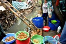 Seriously polluted canal affects hundreds of households in Hanoi