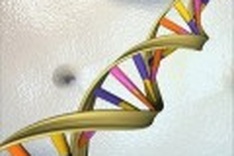 Researchers discover 'cancer marker' gene