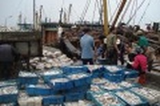 Aquatic sources of income falling rapidly