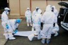Radiation slows recovery of dead near Japan plant