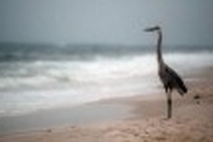 BP recovers $1 bn Gulf spill costs from Japan's Mitsui