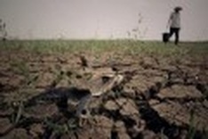 Central China drought 'worst in over 50 years'