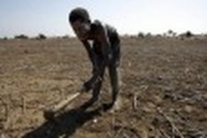 Tropical 'hotspots' may get too warm to farm