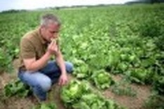 Germany says worst of E. coli outbreak is over