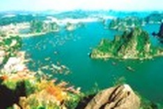 Vietnam to sets up 16 marine reserves