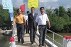 Dan Tri Bridge opens for use