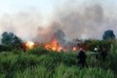 HCM City on high-alert for fires