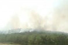 Hundreds of hectares of forest destroyed by fires