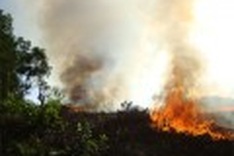 Local habits threaten National Park