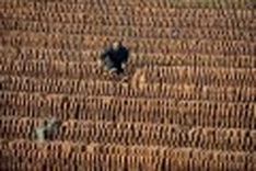 China shelter 'sold 70 disabled people into slavery'