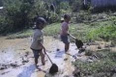 Children as young as 8 labouring in rice fields