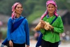 Lao Cai animal market