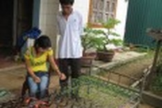 A kind hand reaching out to the disabled