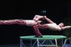 Brothers touch bronze at circus festival