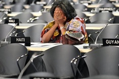 Copenhagen climate summit in disarray after 'Danish text' leak