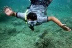 Scientists say Asia's corals dying en masse