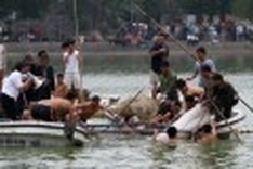 Hoan Kiem Lake may have second old turtle