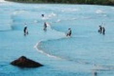 International inputs help Vietnam strengthen coastal resilience