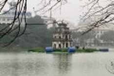 Chasing the magic turtle