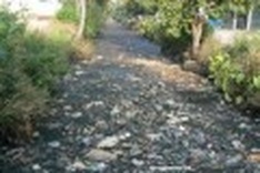 City flooding over by 2020 if plan implemented