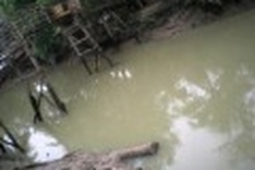 Polluted stream plaguing health of locals