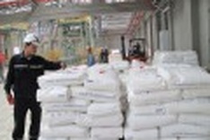 Vietnam leaps into petrochemical industry