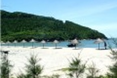 Danang starts small to adapt to climate change