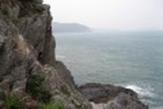Swiftlets abandon an island