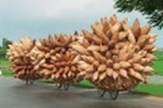 Bicycles: Not only a way of life, a ride towards income