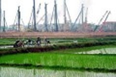 Industrial park boom causes social and environmental problems