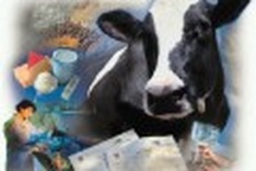 Vietnam plans dramatic overhaul for dairy industry