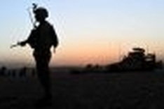 Foreign troop deaths in Afghanistan top 700 in 2010: site