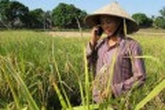 New mobile options making moves in Vietnam