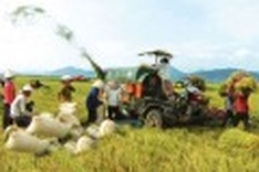 Investment in agriculture to be reduced