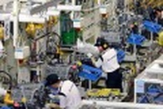 Expert: Businesses exposed to risk from interest and exchange rates