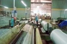 FDI hit 5 billion USD in first half of 2011