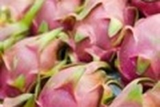 Vietnam slows US dragon fruit exports